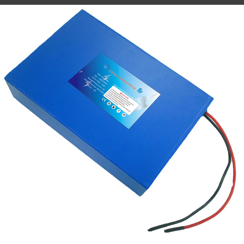 Custom 24v 30Ah best value lifepo4 battery